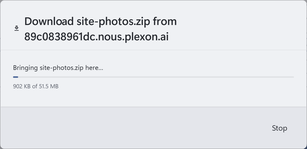 Download site-photos.zip from the runner: bringing the zip here, 902 KB of 51.5 MB